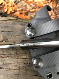 Image 3 of Cenote V2 - Bellingham Bay