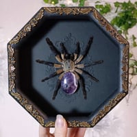 Image 3 of Socotra Island Blue Baboon with Amethyst