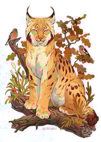 Print -  lynx