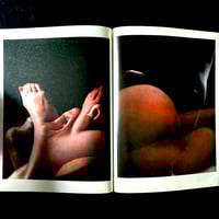 Image 8 of Le Sang et la Rose #4