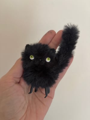 Image of Bitty Fluffy Cat in Black