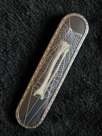 Image 1 of Repurposed Vanity series antique Anatomical with preserved web c