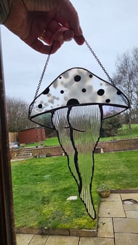 Image 4 of Mushroom bum 7