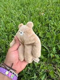 Image 3 of Mini Bear Bloog