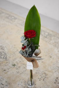 Image 4 of Rosa de Sant Jordi - La de sempre