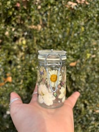 Image 1 of Winter Solstice 