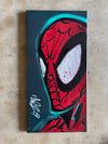 " Spidey In The Zone "