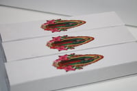 Image 1 of VIRGENCITA TWEEZERS COLLECTION 
