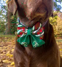 Image 7 of Candy Cane Sailor Bow / Bow Tie