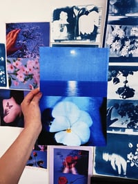 Image 2 of PANSY - BLUE SEA 