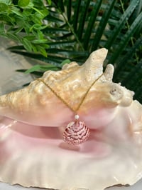 Image 2 of Scallop Shell Necklace N196