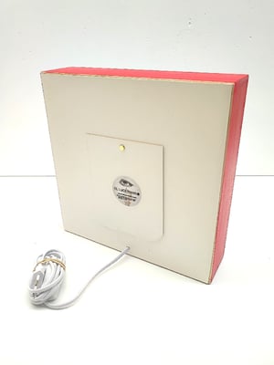 Image of Young Rebel.