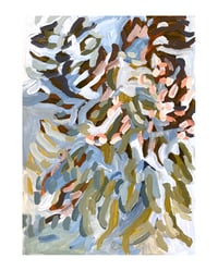 Image 2 of flowering gum ||