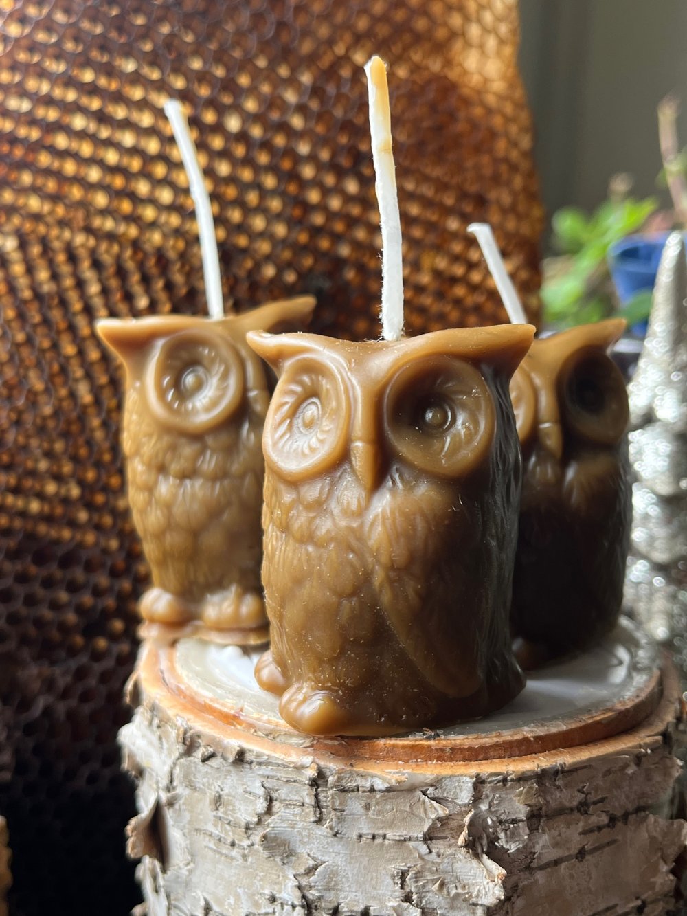 Image of Chocolate Owl Beeswax Candle  