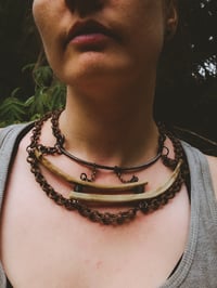 Image 5 of rib stacks