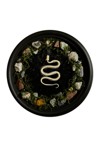 Image 1 of Framed Snake Skeleton & Gemstones