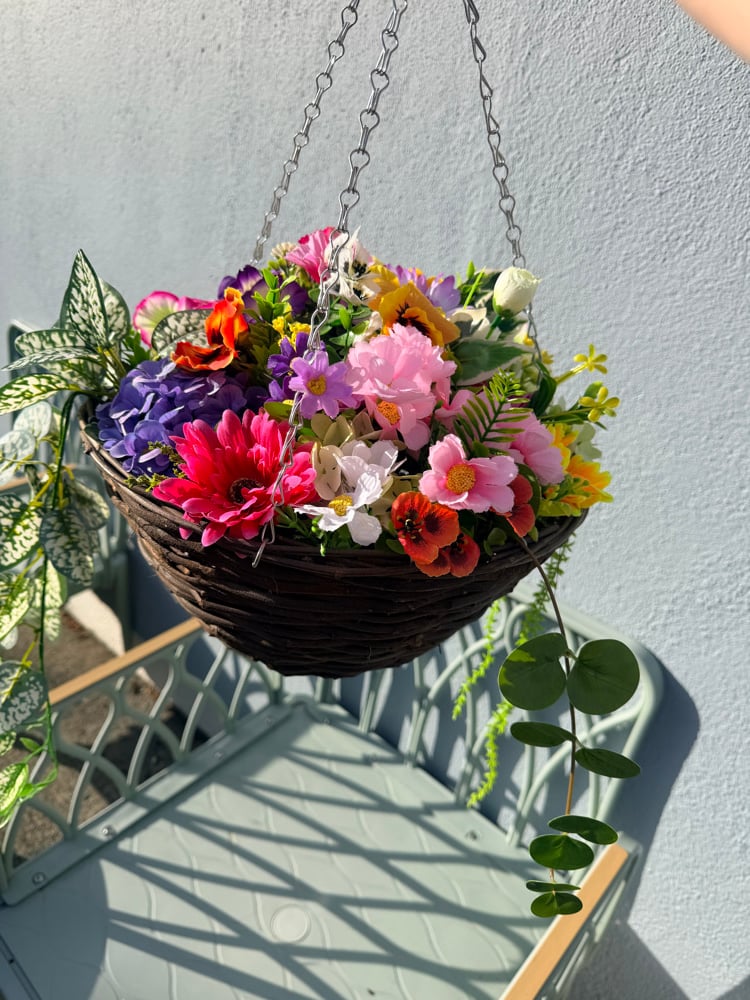 Image of Special Offer Hanging Basket 
