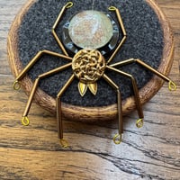 Image 3 of Amapnid (c, 3.5 inches) 