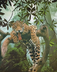 Image 1 of Lazy Leopard Framed Original