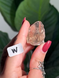 Image 24 of CHOOSE YOUR OWN MINI RUTILE SMOKEY QUARTZ POINTS (NATURAL UNPOLISHED POINTS) -BRAZIL- LOT 2