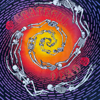 Image 3 of Vintage 1992 Grateful Dead Spiraling Skeletons All Over Print T-Shirt XL Swirl