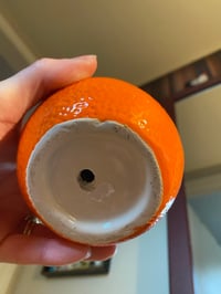 Image 2 of Snake Plant in Orange Fruit