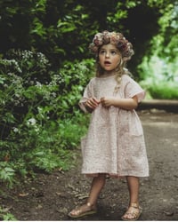 Image 2 of briar rose