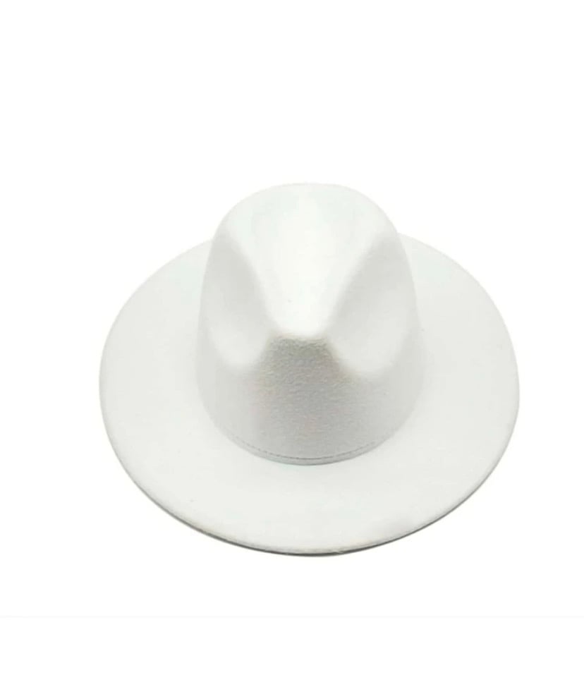 Image of “Fedora Hats”