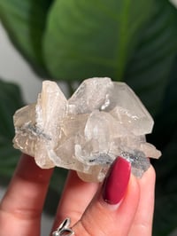 Image 5 of BOWTIE STILBITE X DIAMOND APOPHYLITE -INDIA- E