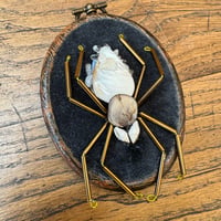 Image 1 of Spider (b, 2x2.5 inches)