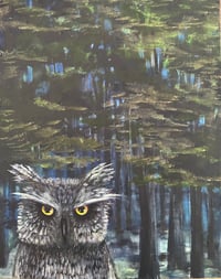 Image 1 of Owl During a Full Moon