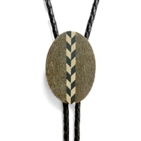 Image 1 of Fossil Whalebone Bolo Tie