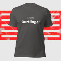 Image of Curtilage