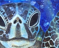 Image 3 of Sea Turtle in Blue 