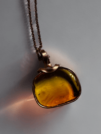Image 1 of Amber