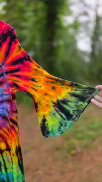 Image 5 of Electric Swerve