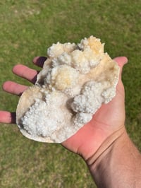 Image 13 of Calcite Crystal Reef Formation Specimen #1242