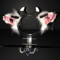 Black Cow 🧙‍♀️ Set 