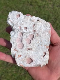 Image 9 of Green Apophyllite & Stilbite Specimen | India #3079