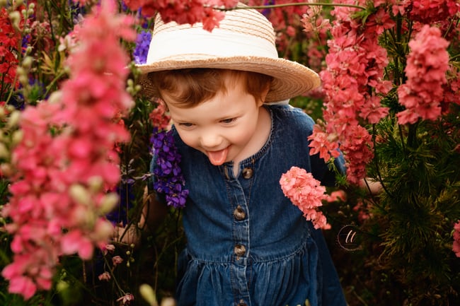 Confetti Fields mini session 2023 Deposit only 