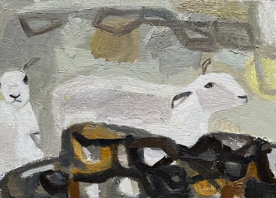 Image of Sheep sheltering by a dry stone wall. 