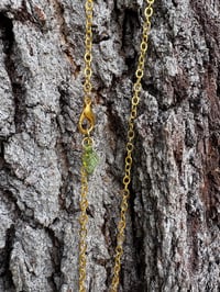 Image 3 of Pumpkin Patch