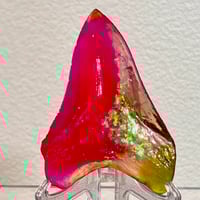 Lcfr Spirit Meg Tooth 3.86” Pink/glitter1 25