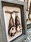 Image 3 of "love Bats" Shadow Box