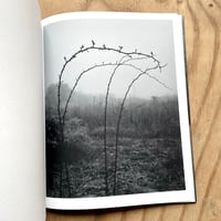 Image 3 of Martin Amis - This Land (Signed)