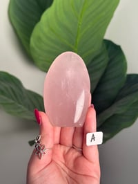 Image 1 of CHOOSE YOUR OWN STAR ROSE QUARTZ FREEFORMS -MADAGASCAR-