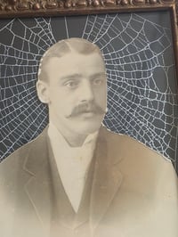 Image 4 of Statement - Victorian photocard With Preserved Web in antique frame a