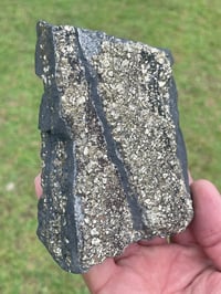 Image 10 of Shungite Specimen With Cubic Pyrite #606