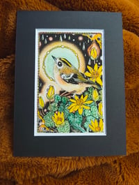 Image 1 of Goldcrest and lesser celandine Coloured