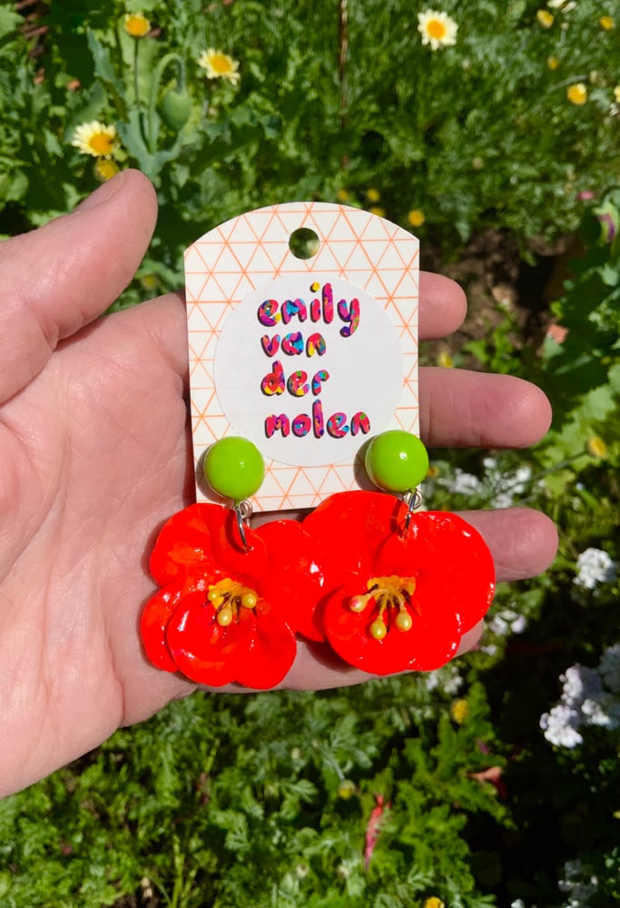 Image of Nasturtium Dangles